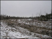 Maine Land Clearing Companies